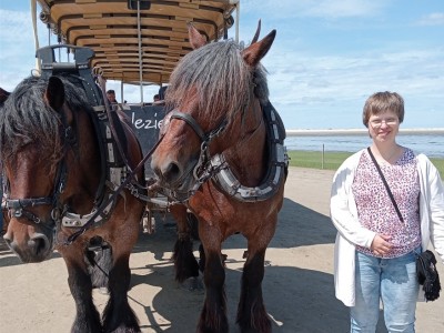 Eilandvakantie Texel